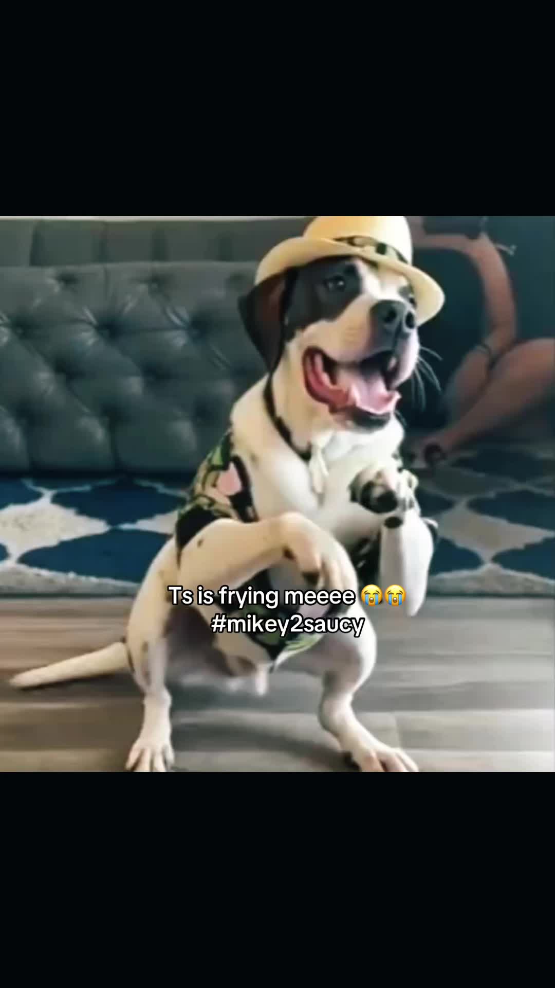 @𓆩𝓂𝒾𝒶𓆪ೄྀ