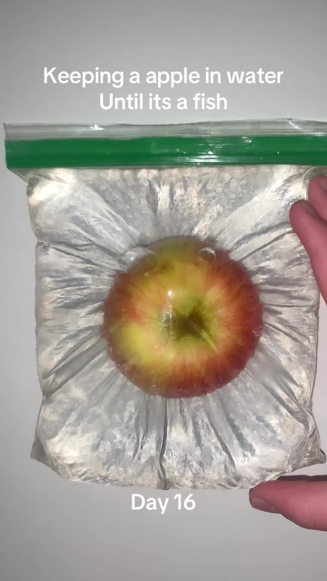 @ve0ck