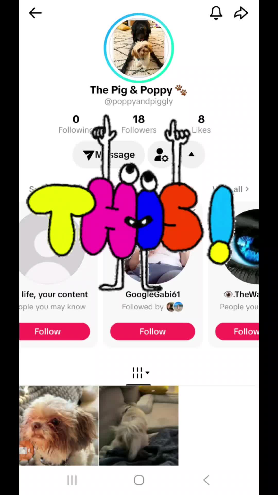 @LivingLifeUnhinged🤦♀️