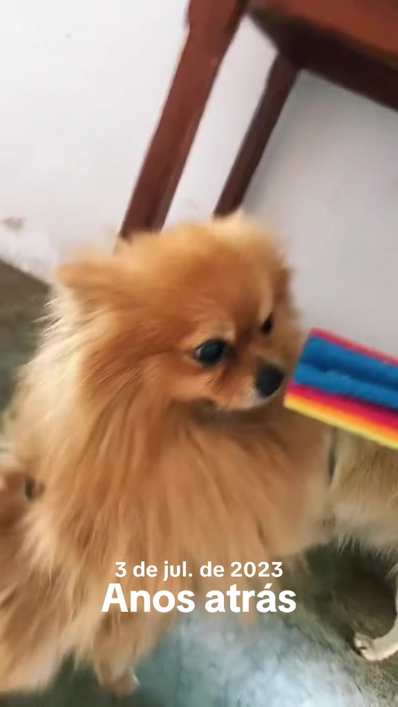 @blogdaNani