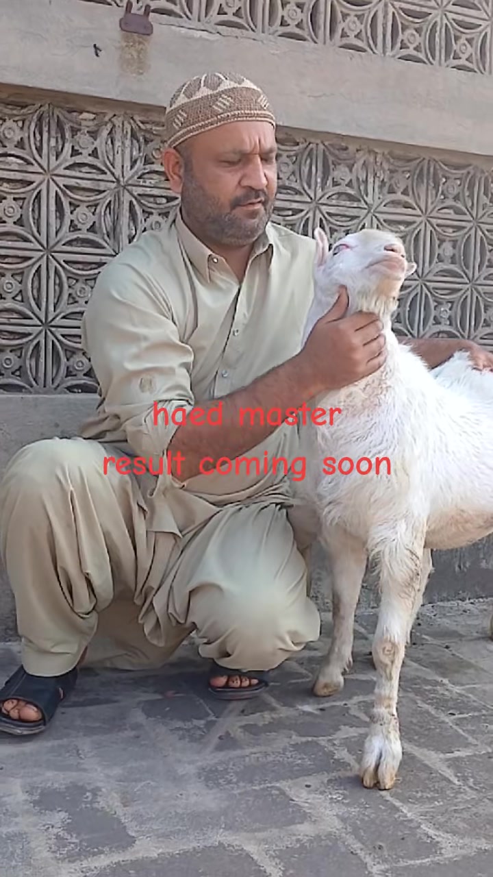 @Asif salad wala