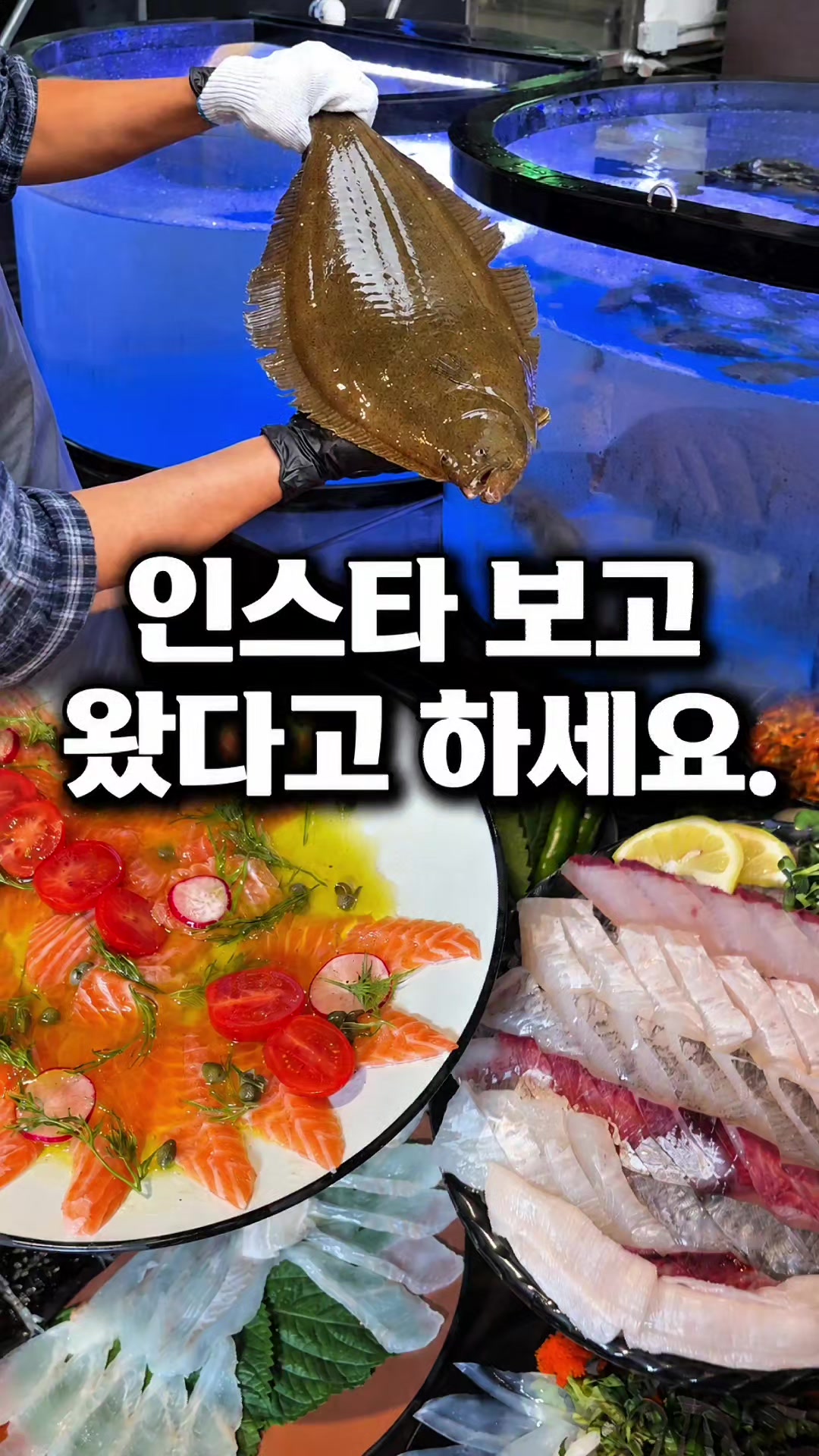 @해피문군