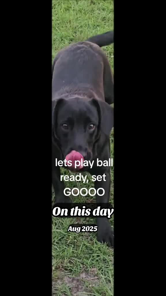 @TMAC❌️ tammymcconnell76