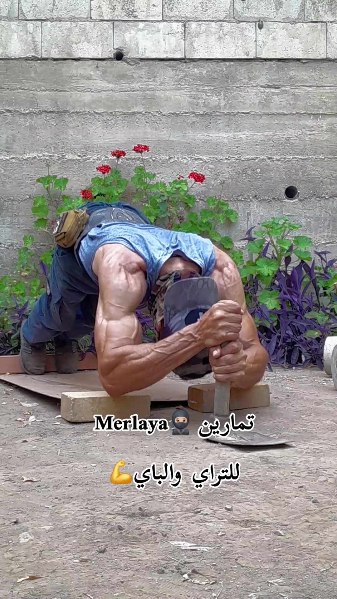 @عمرmerlaya2