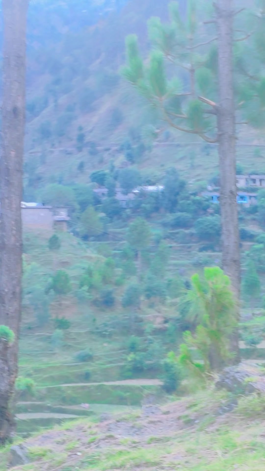@ch.rohan3374