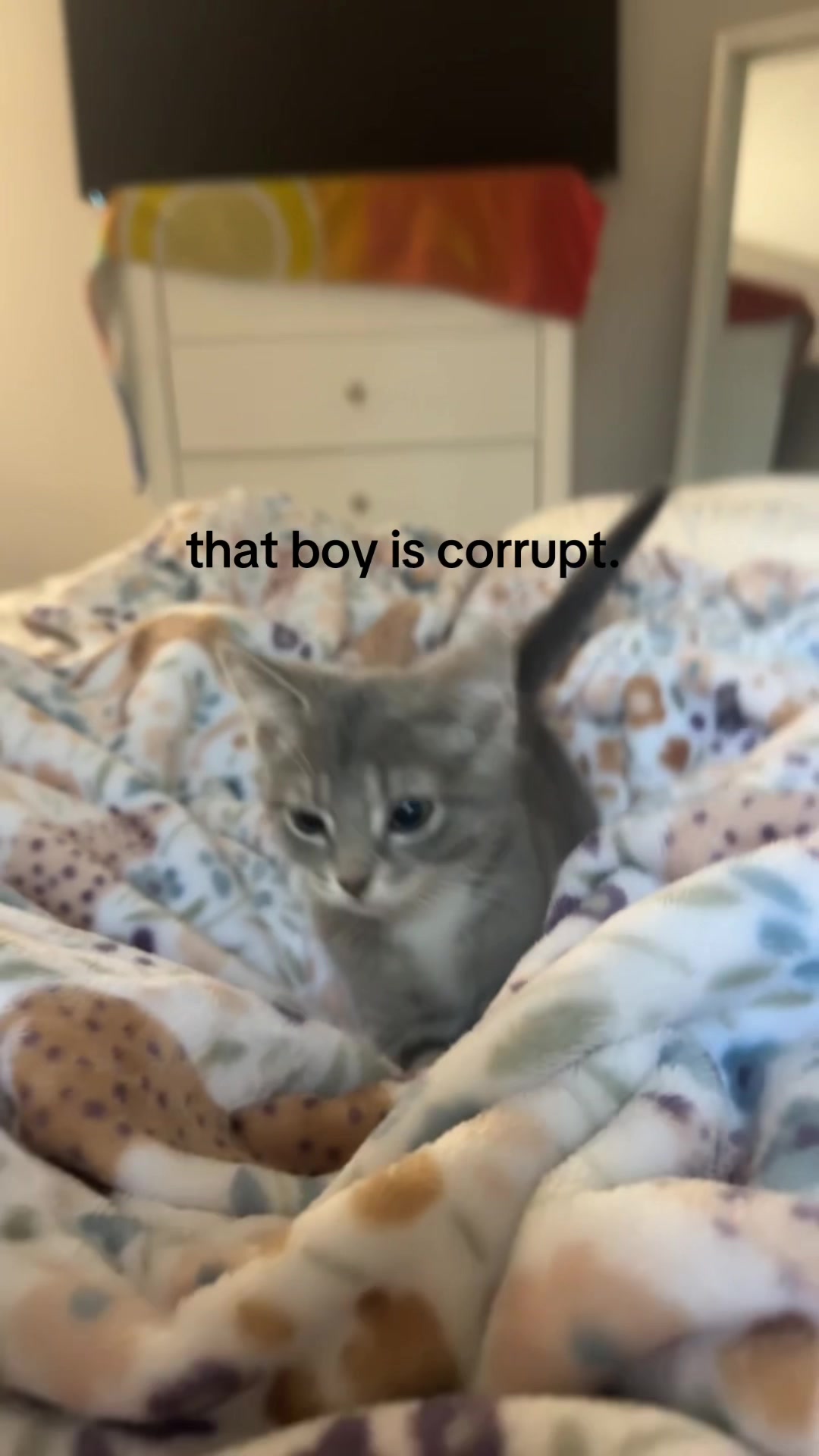 @aaliyahhhh