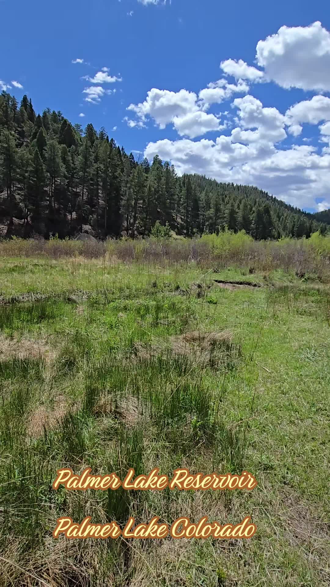 @coloradohiker13