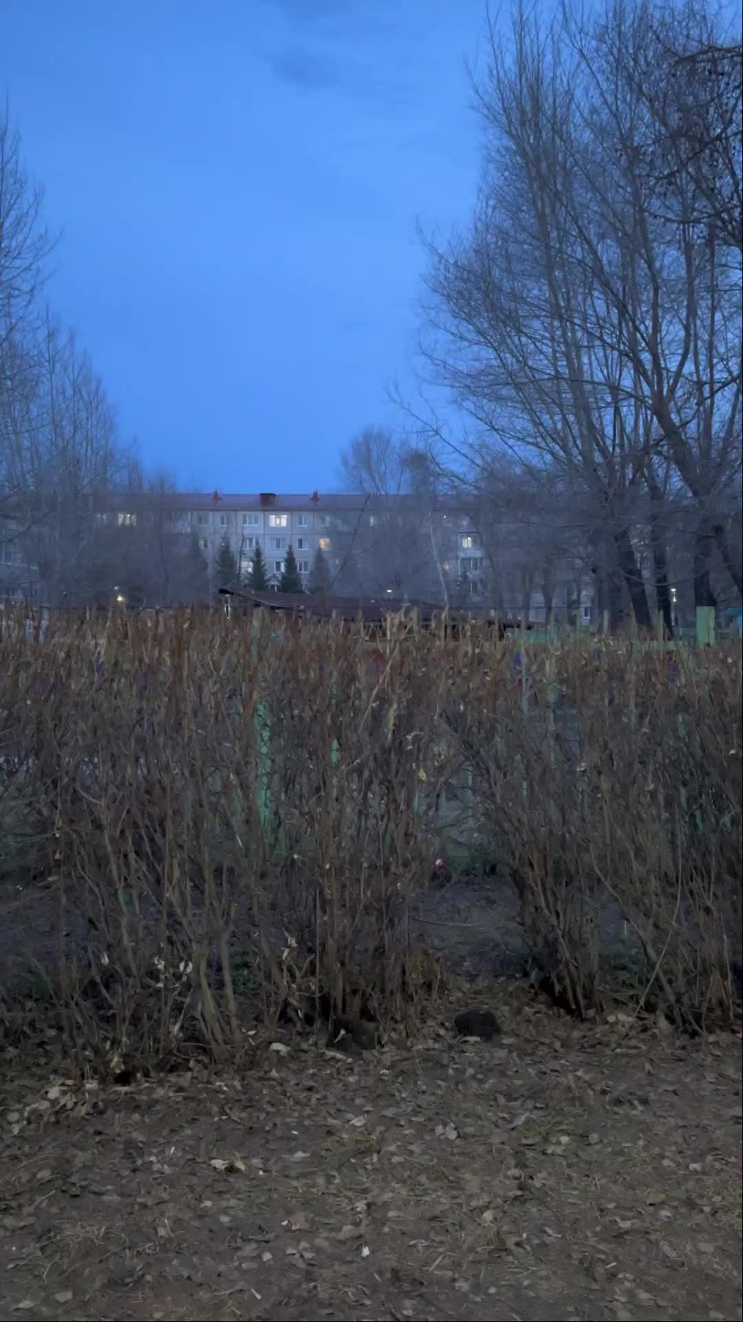 @Сонька