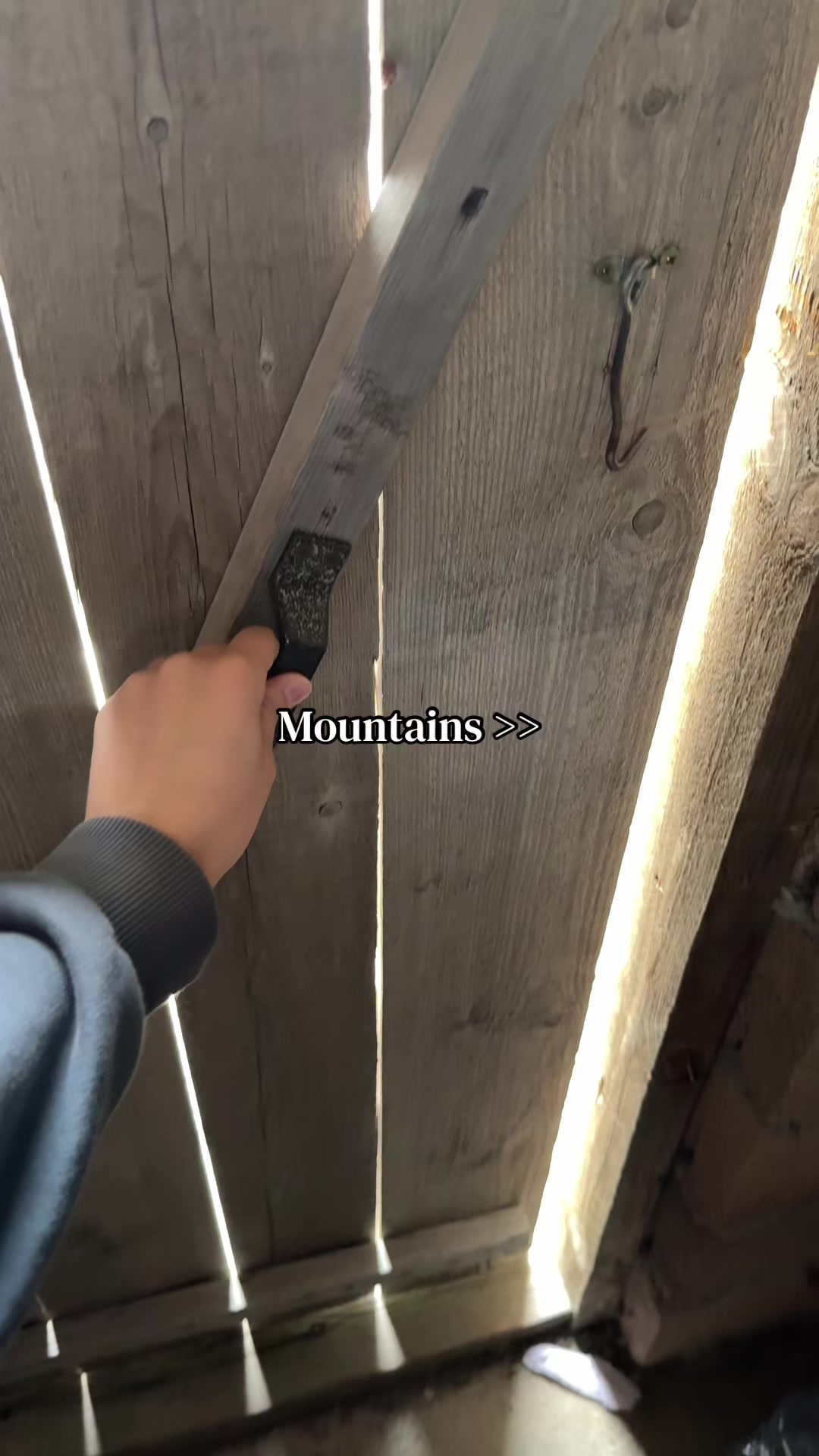 @kaitlinxerbl