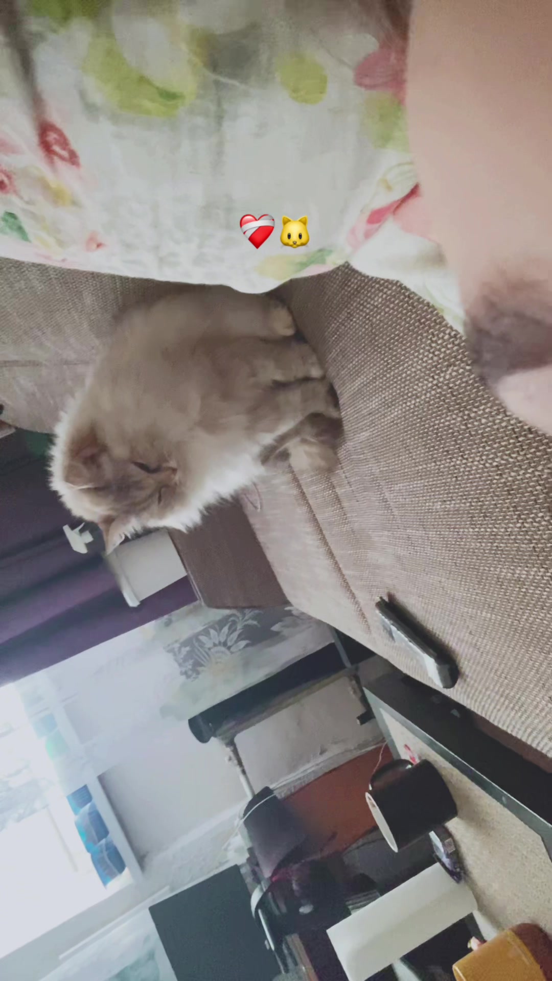 @lissajkv