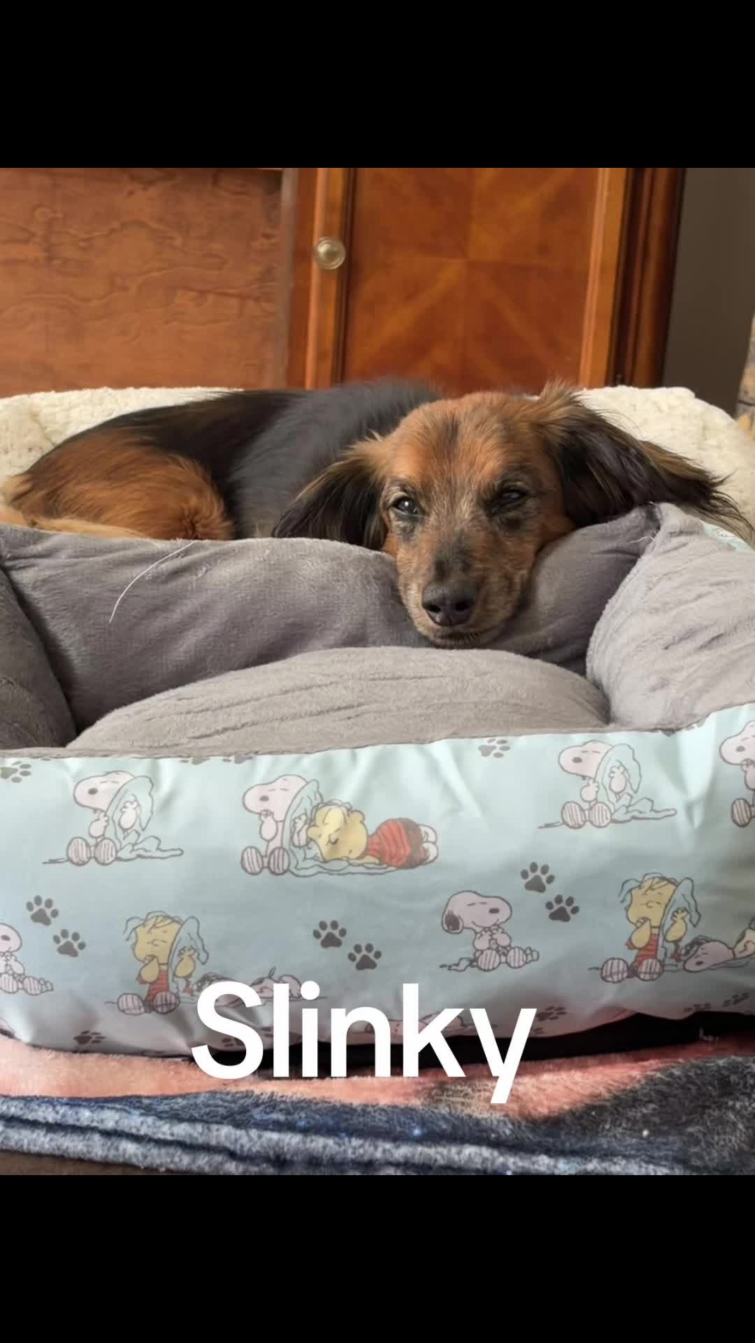 @76DianaLynnBandCandy