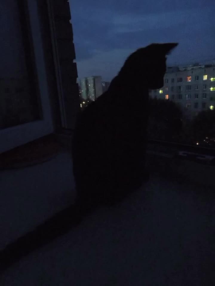 @Ляпомия 🌾
