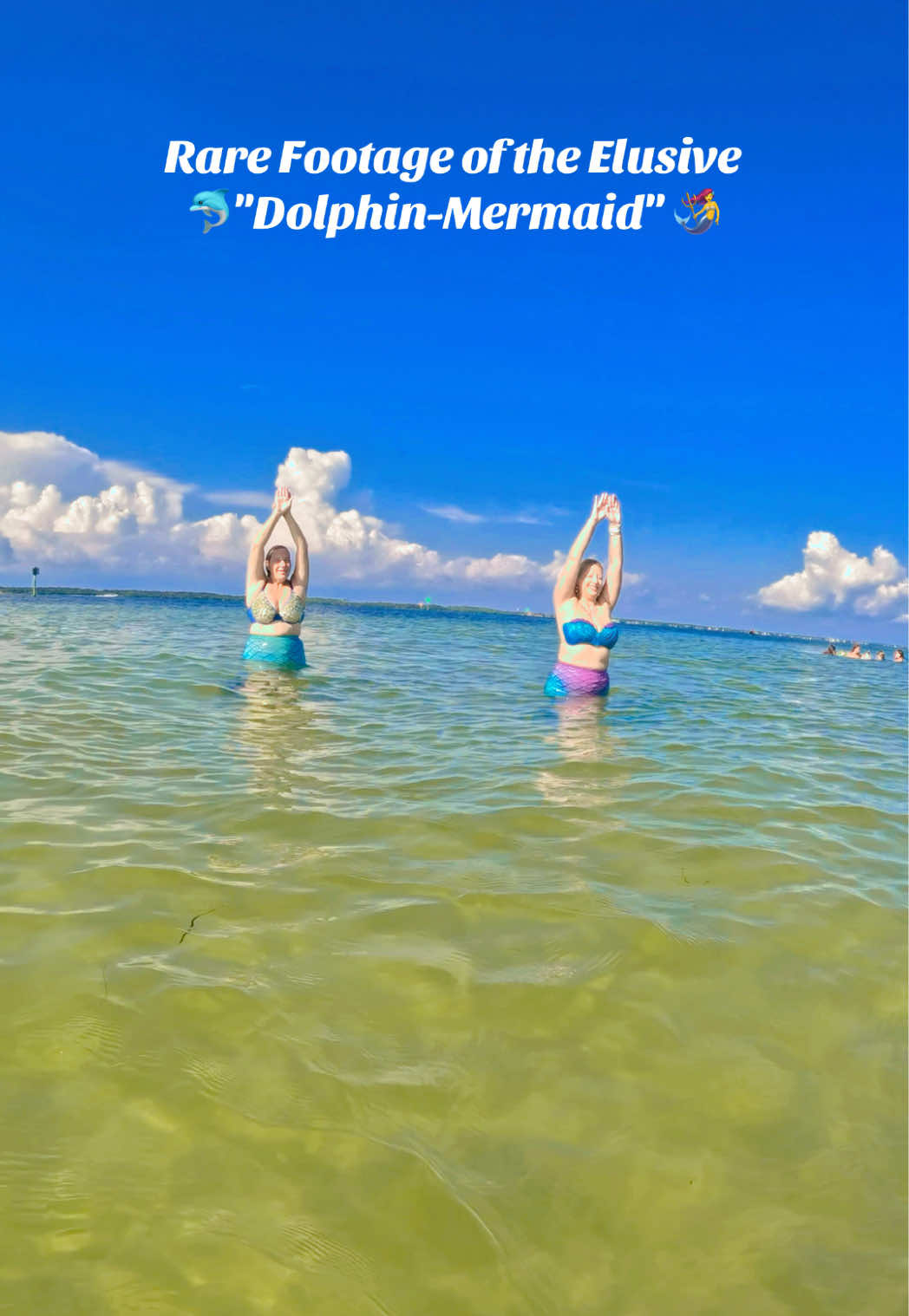 @Gulf Coast Mermaid 🧜♀️