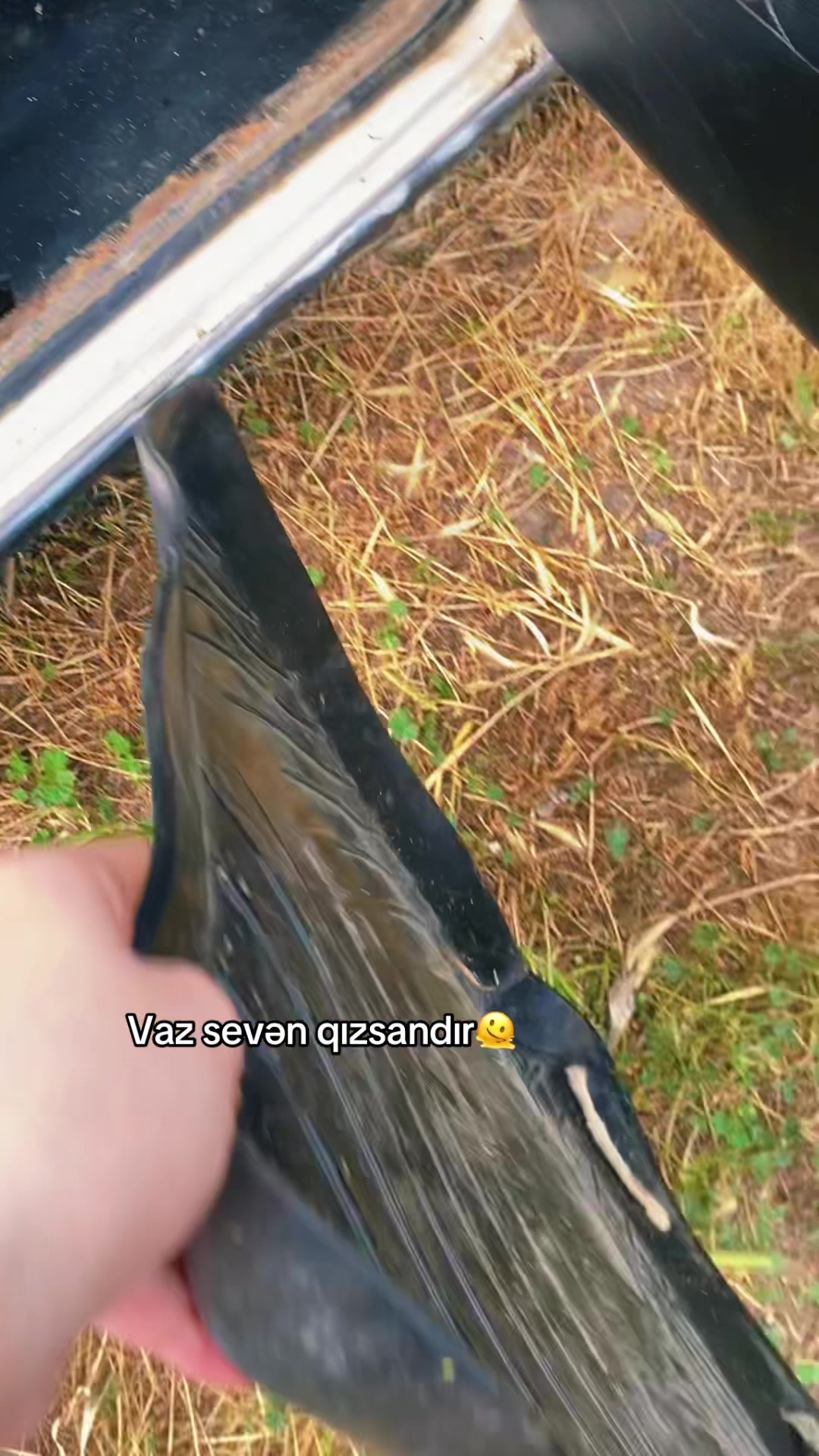 @✴️S&uuml;bhan Farizoğlu✴️