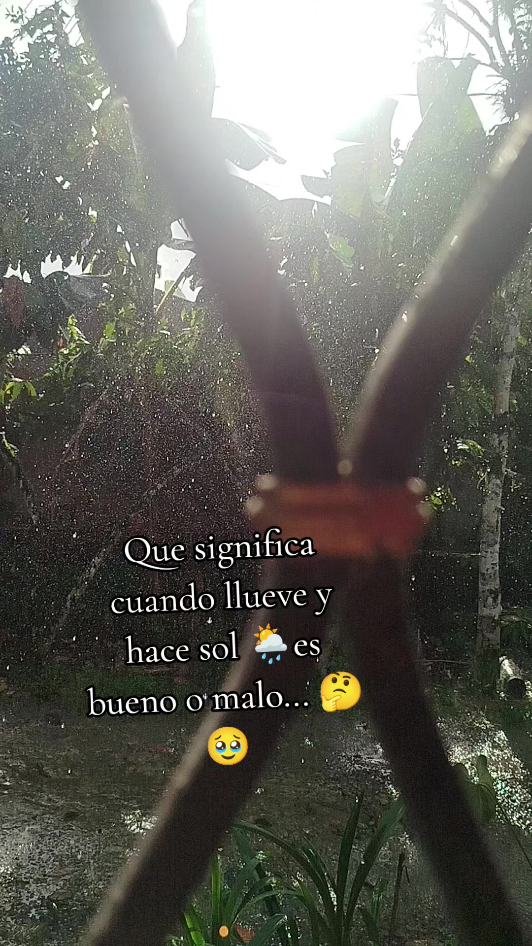@Tu gatita ๐♥๏ธ๐