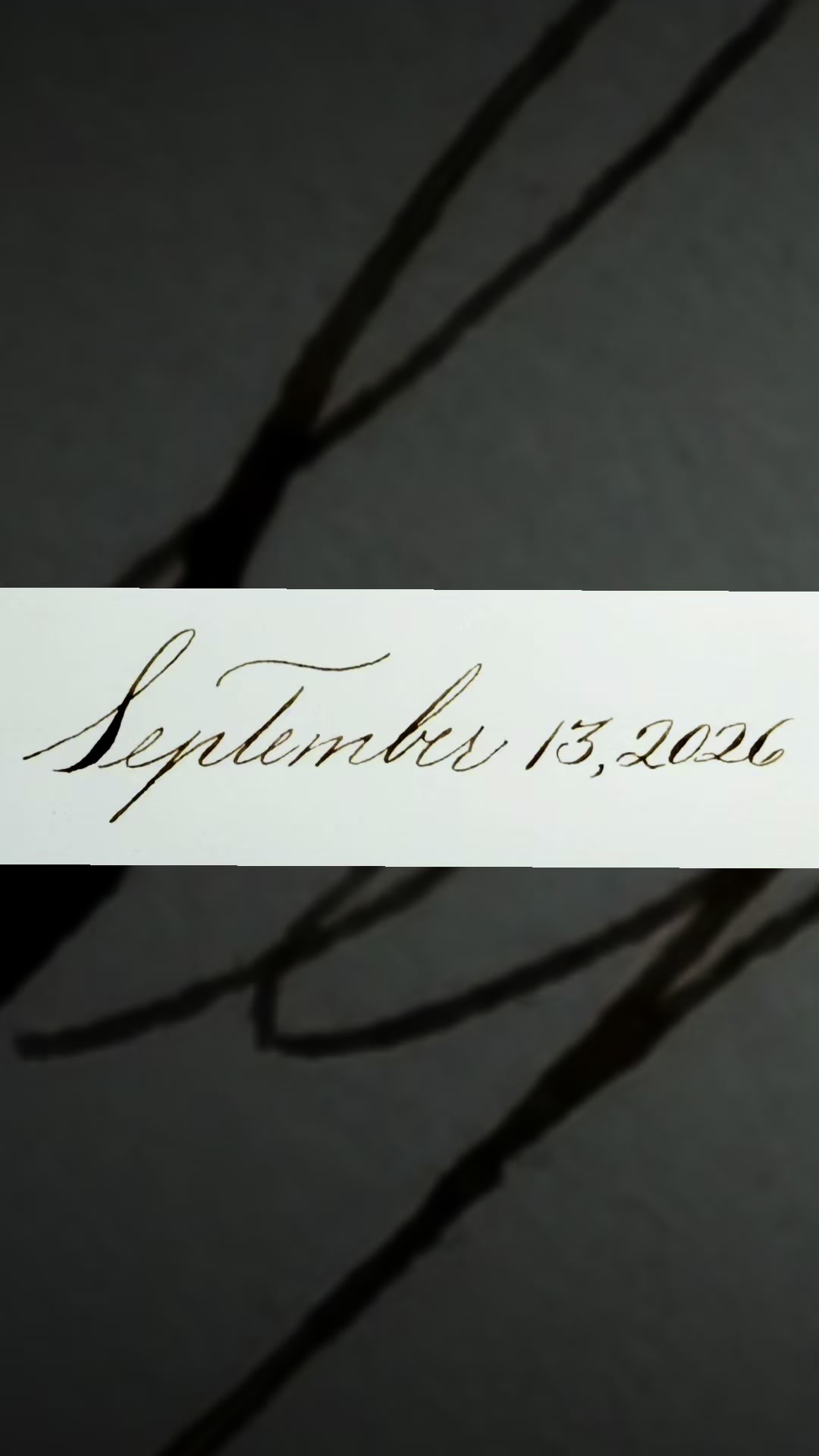 @Calligraphy Theory