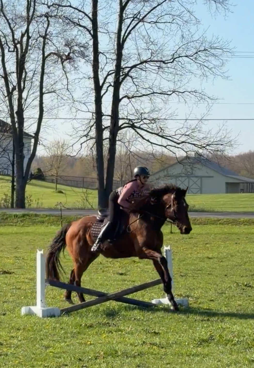 @Lorraine 🐴🩺