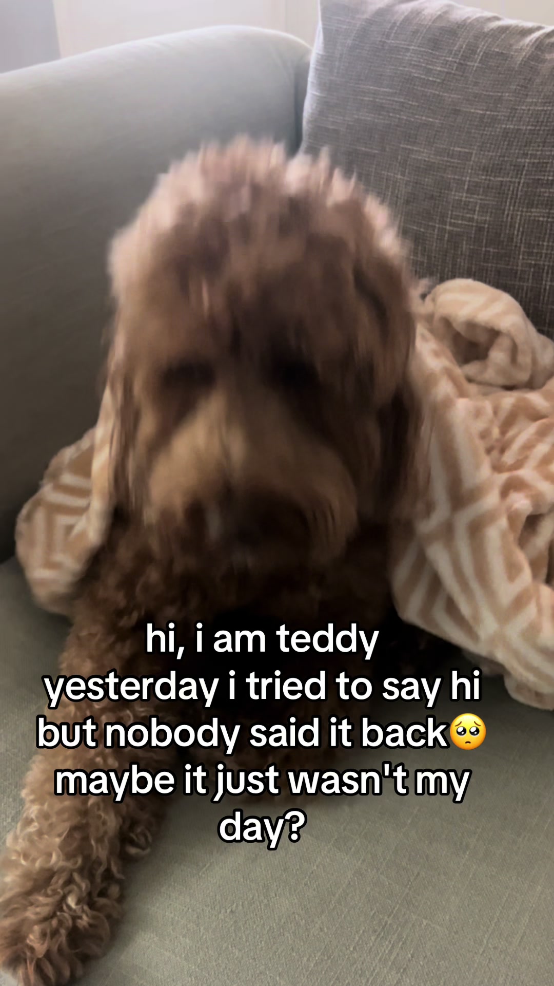 @Goldendoodlelover