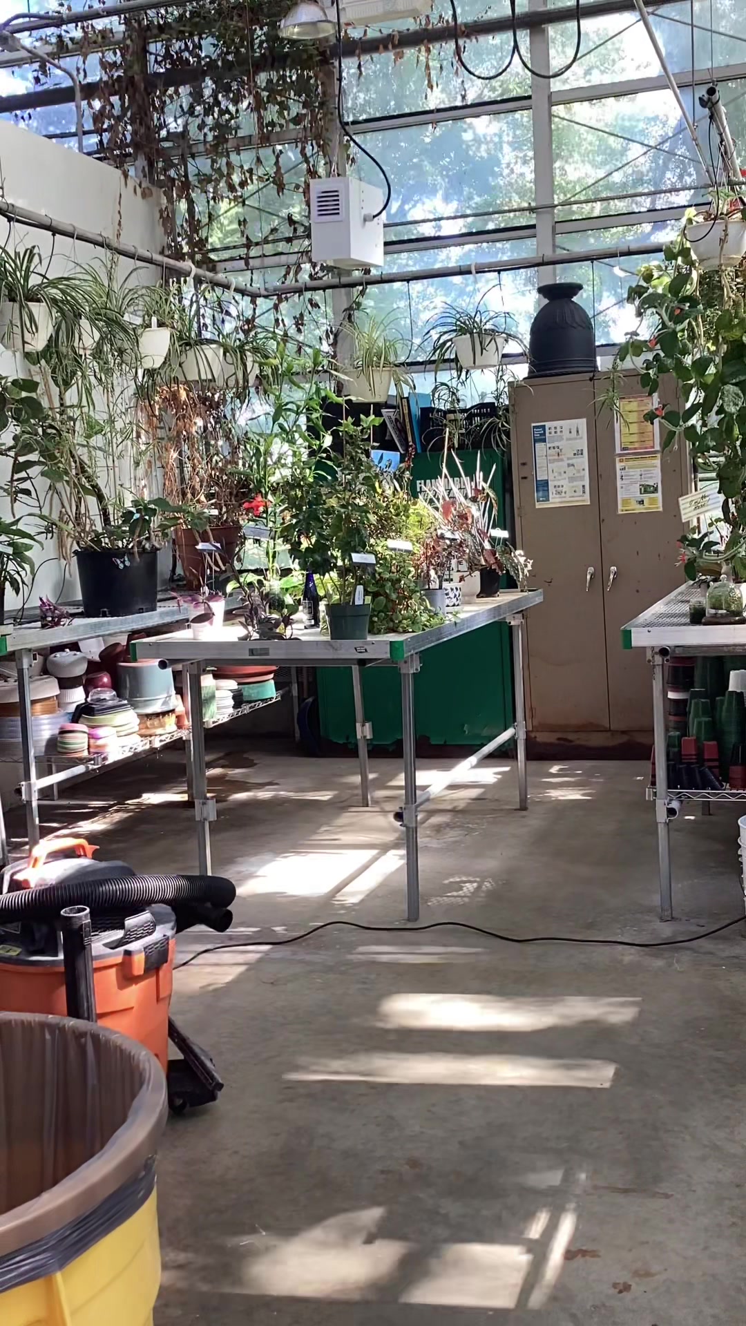 @bsu greenhouse