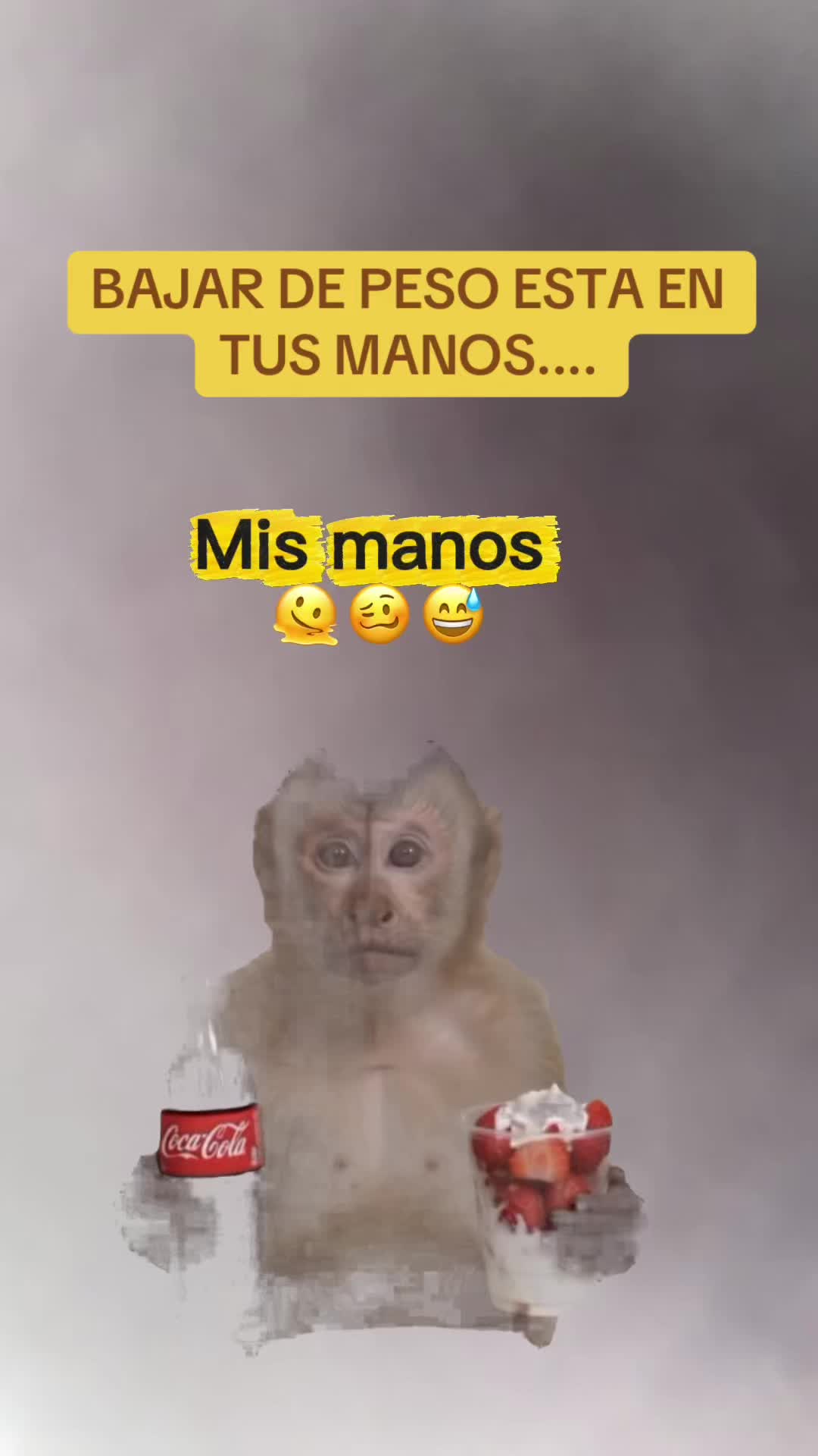 @Raquel Sanchez