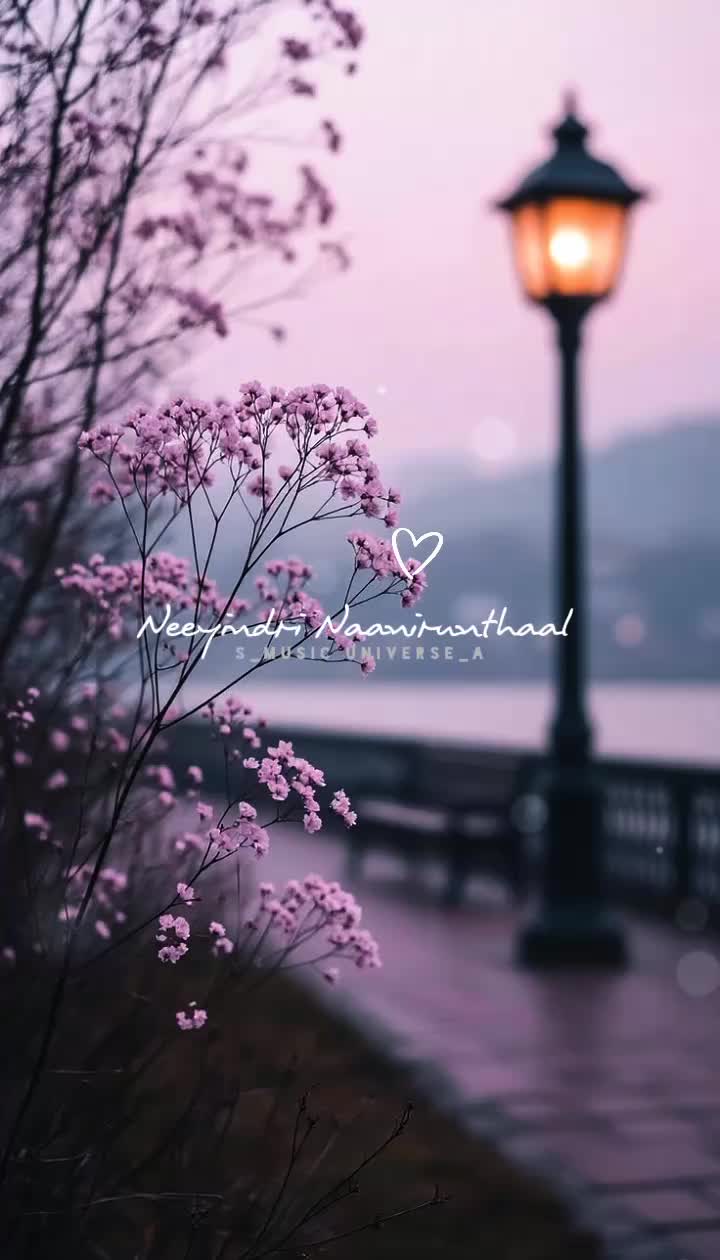 @♥๐๐๐๐๐พ ๐๐๐๐๐๐๐๐♥