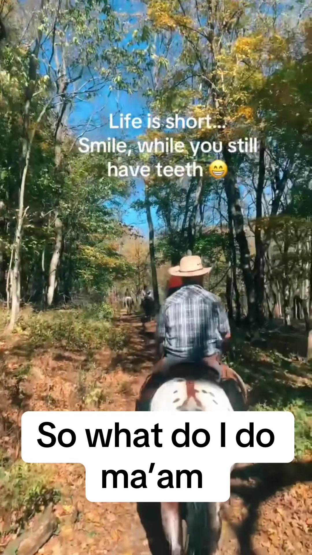 @Countree1978