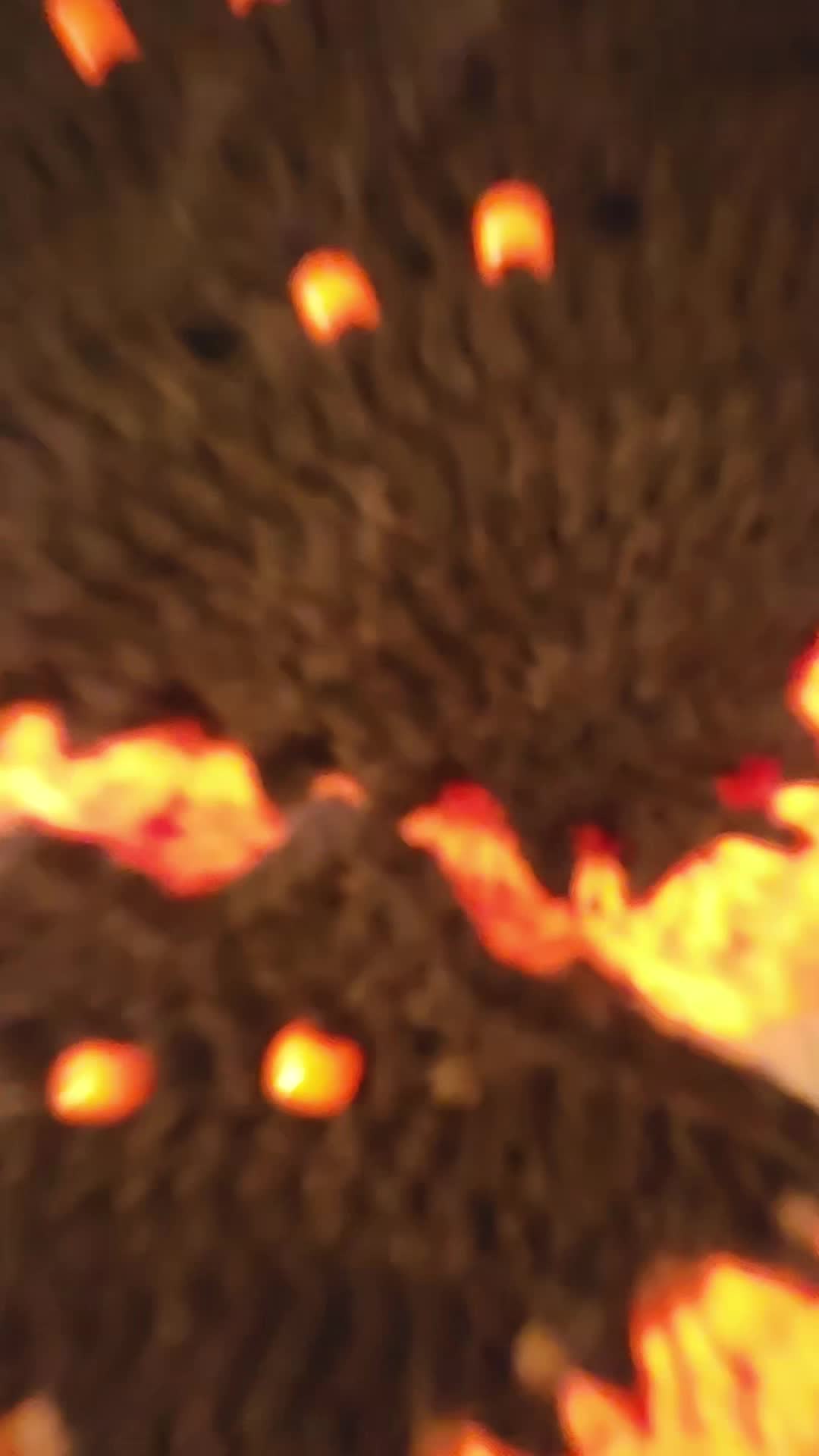 @KokoTheBard