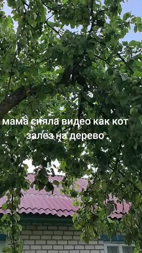 @tom