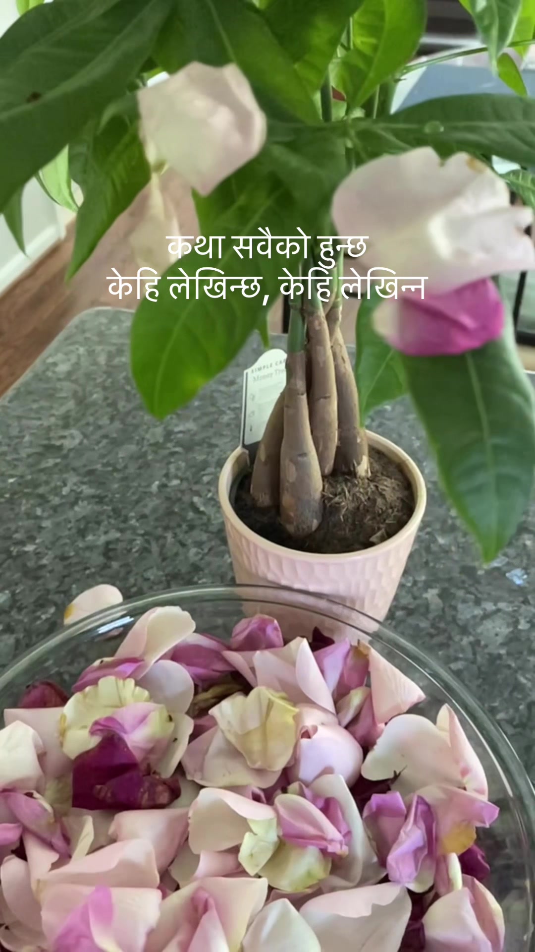 @Rani Shakya