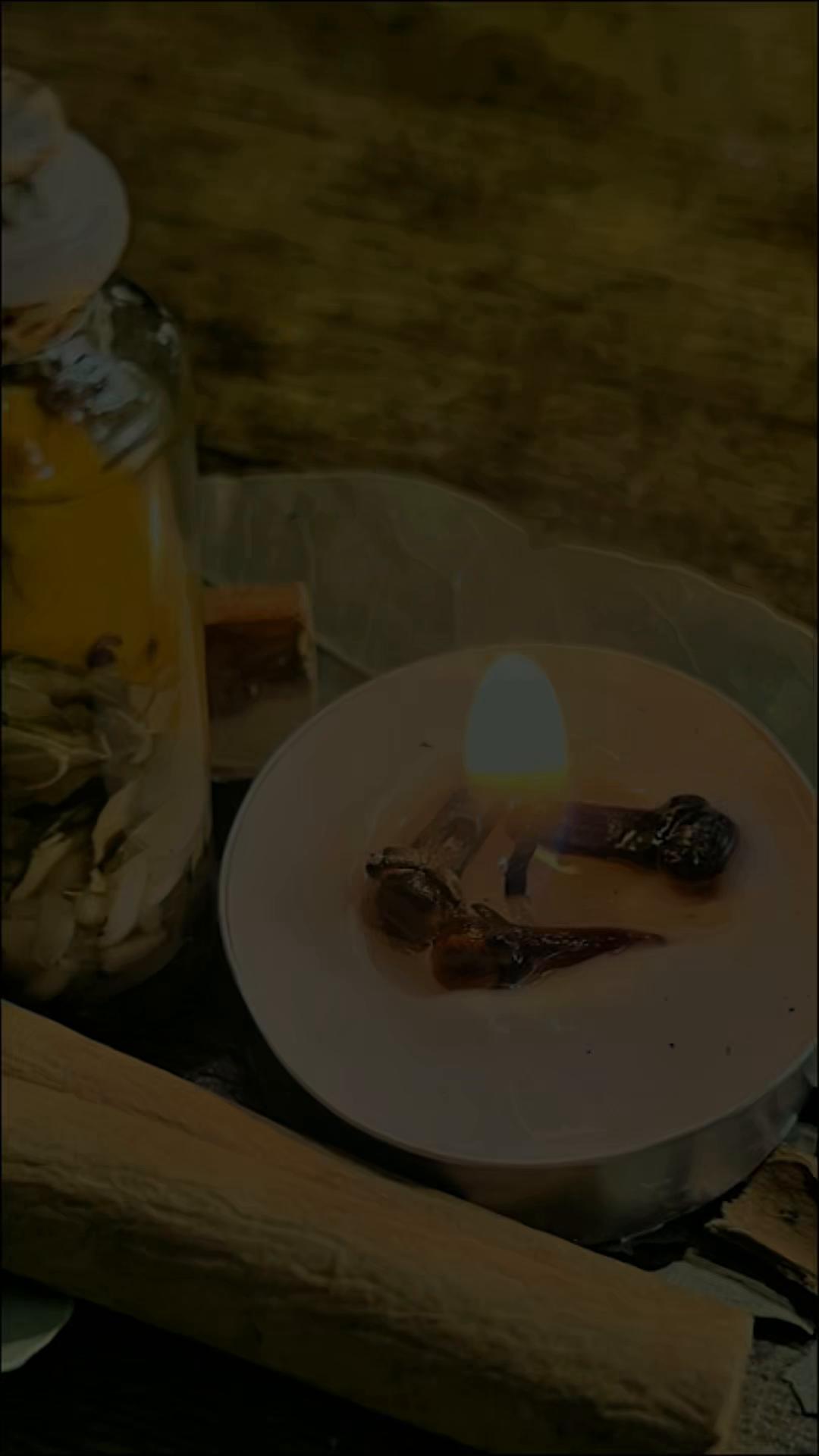 @bumblebee_520_808_741