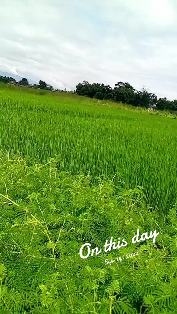 @kumari dahal