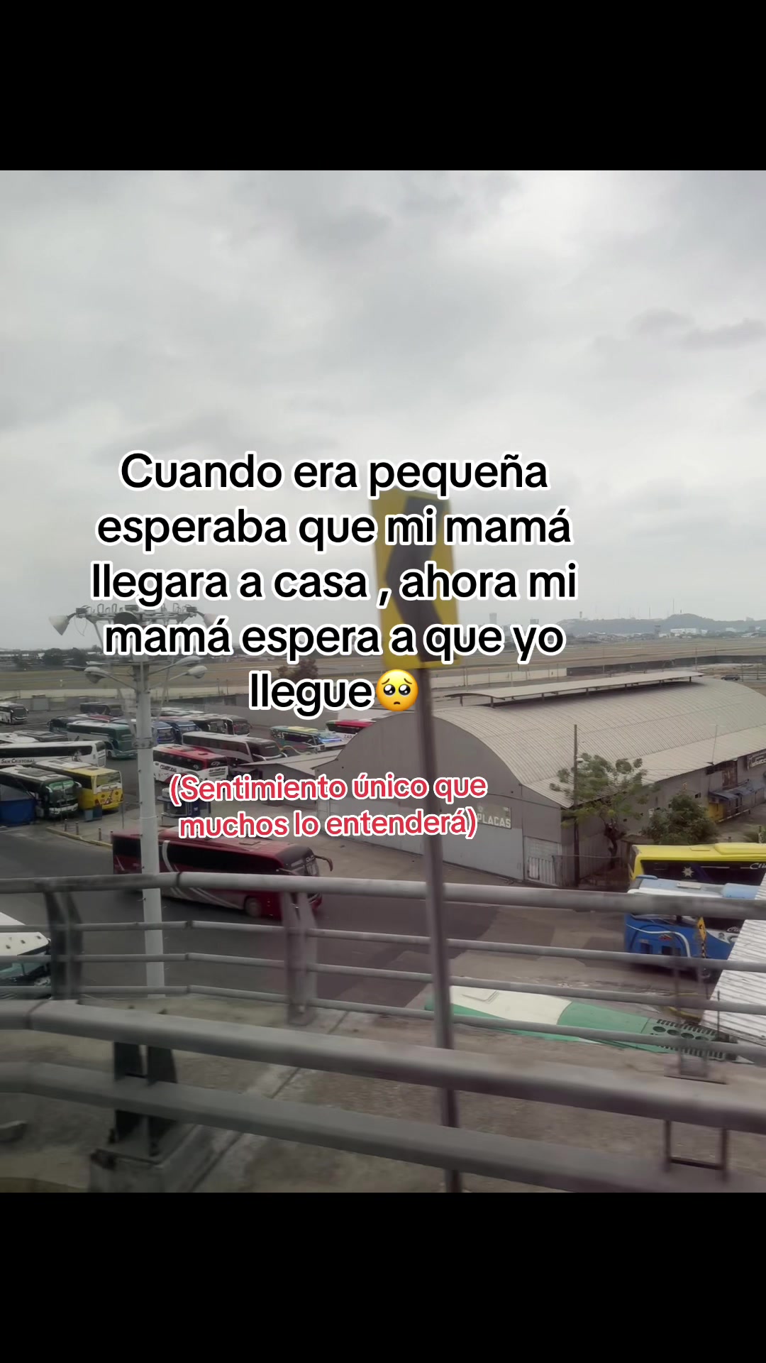 @LM 🫧🧸🌸