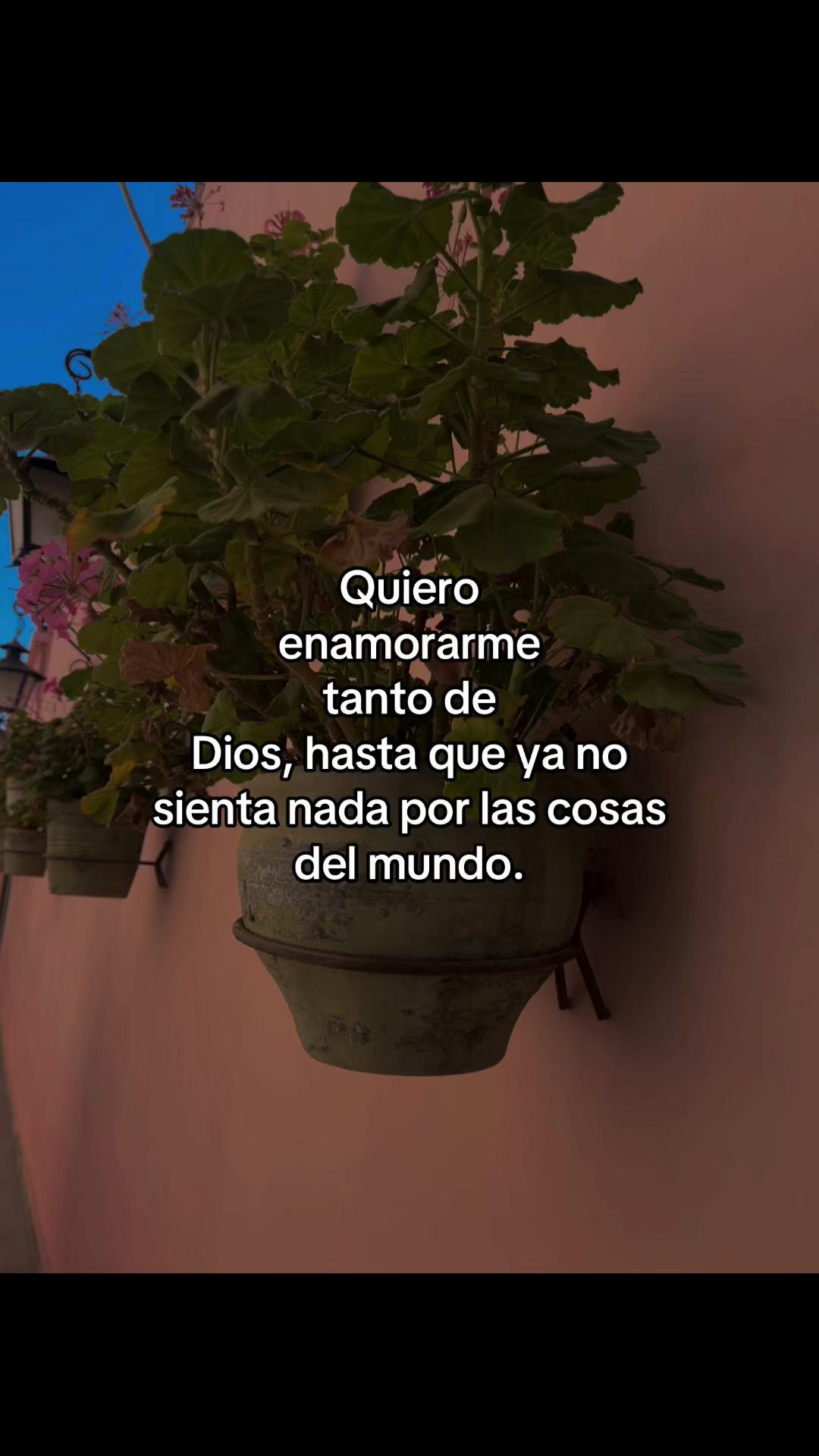 @🌷𝙋𝙖𝘃𝘦𝘭ᥫ᭡