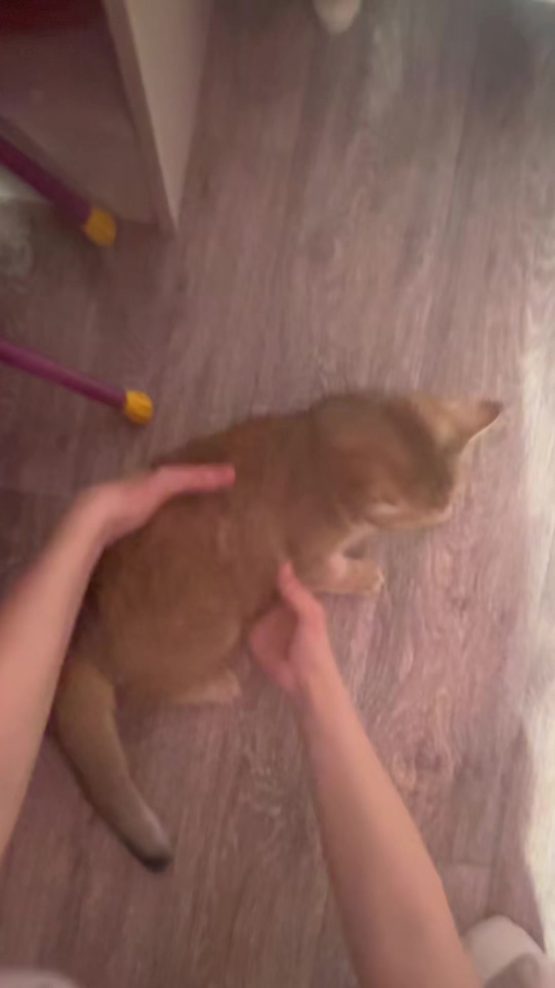 @Леонора😼😻