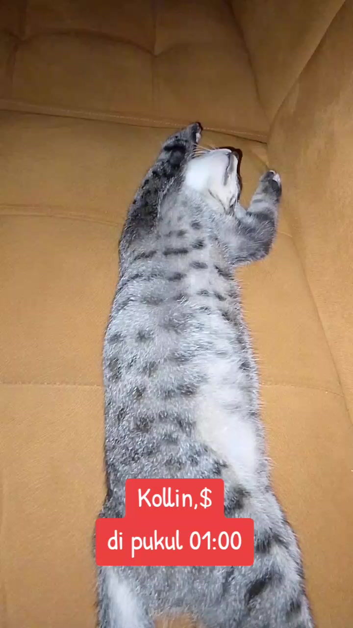 @😺Dermawan Spritual🌏