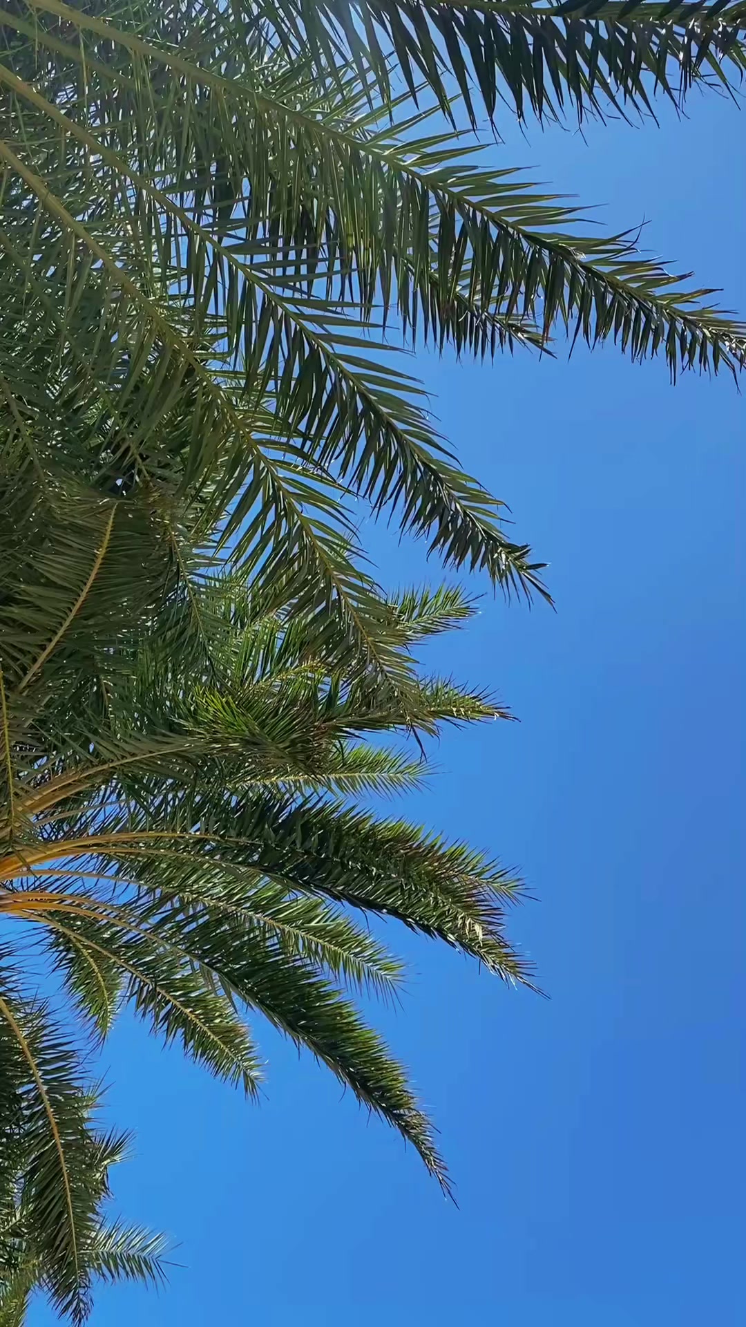 @meetmeinflorida