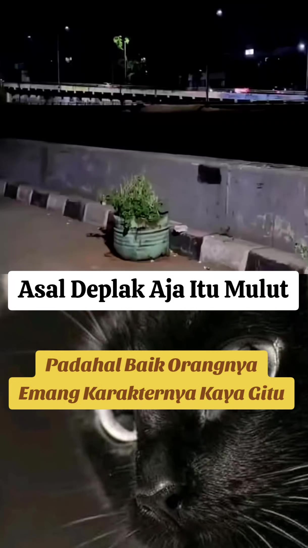 @jaka kelana