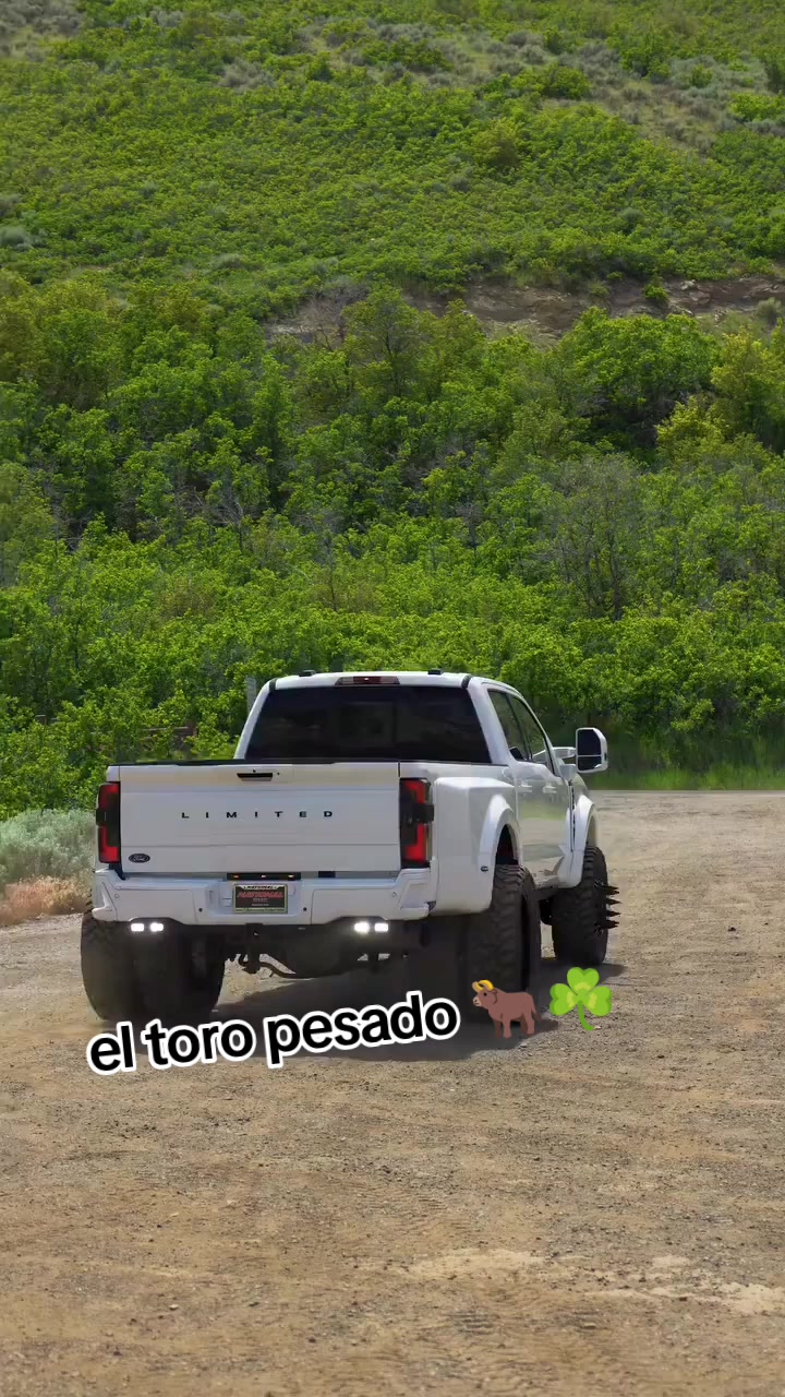 @el toro pesado 🐂☘️