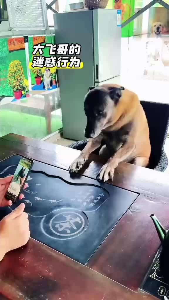 @Funny