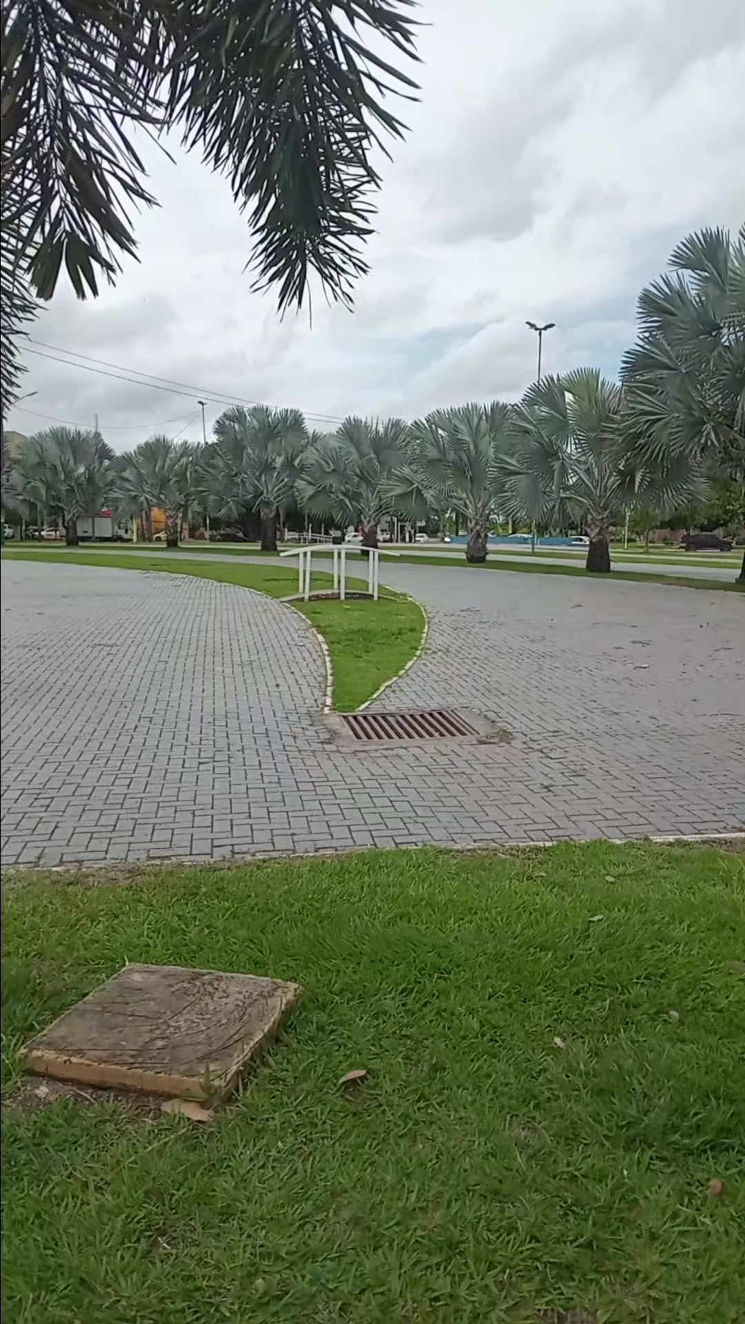 @Magec ccs