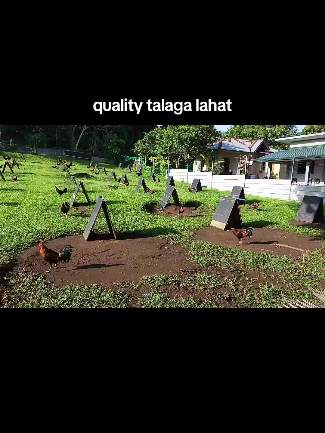 @EDUKADONG SABUNGERO