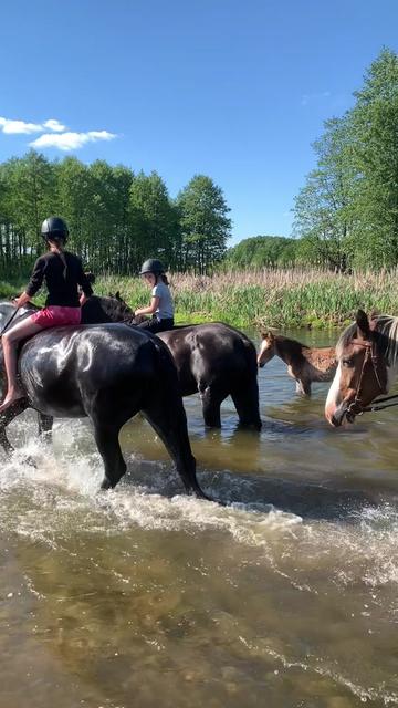 @КК "Фриз"🏇