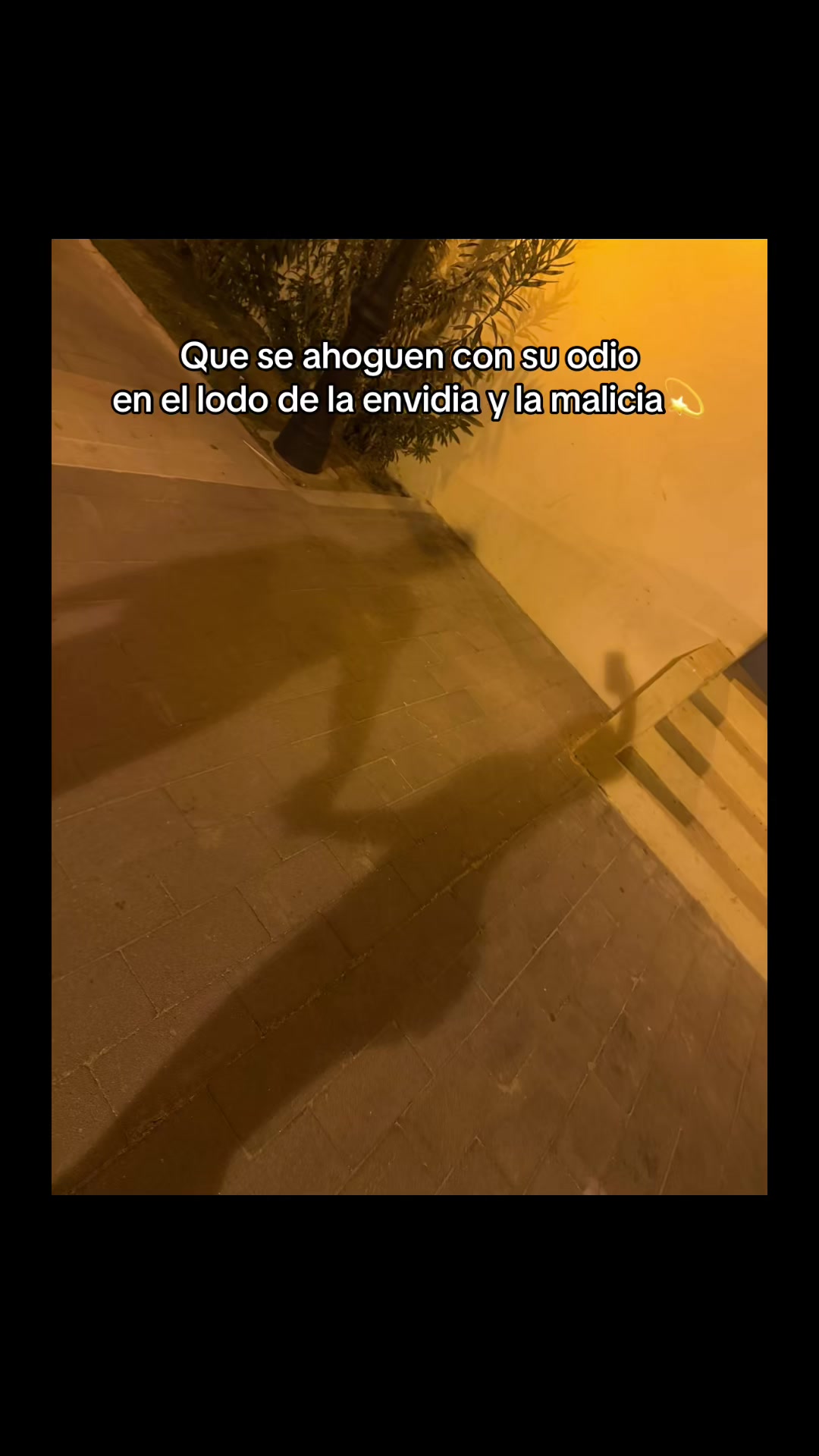 @CennyMoncada🧸🇻🇪