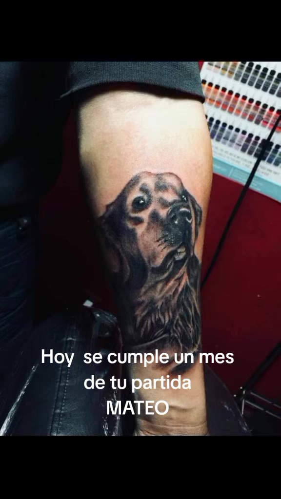 @pollo 46