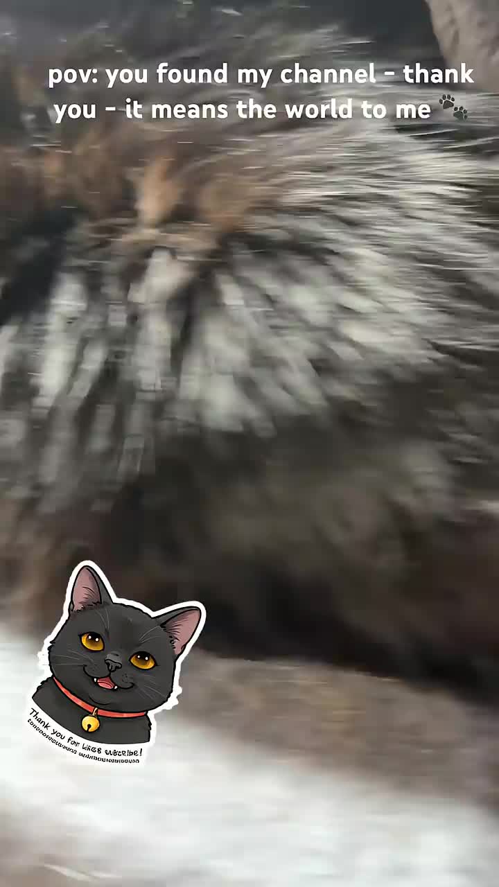 @Hi_im_yuki 🐾