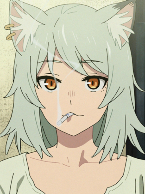 @netflixanime
