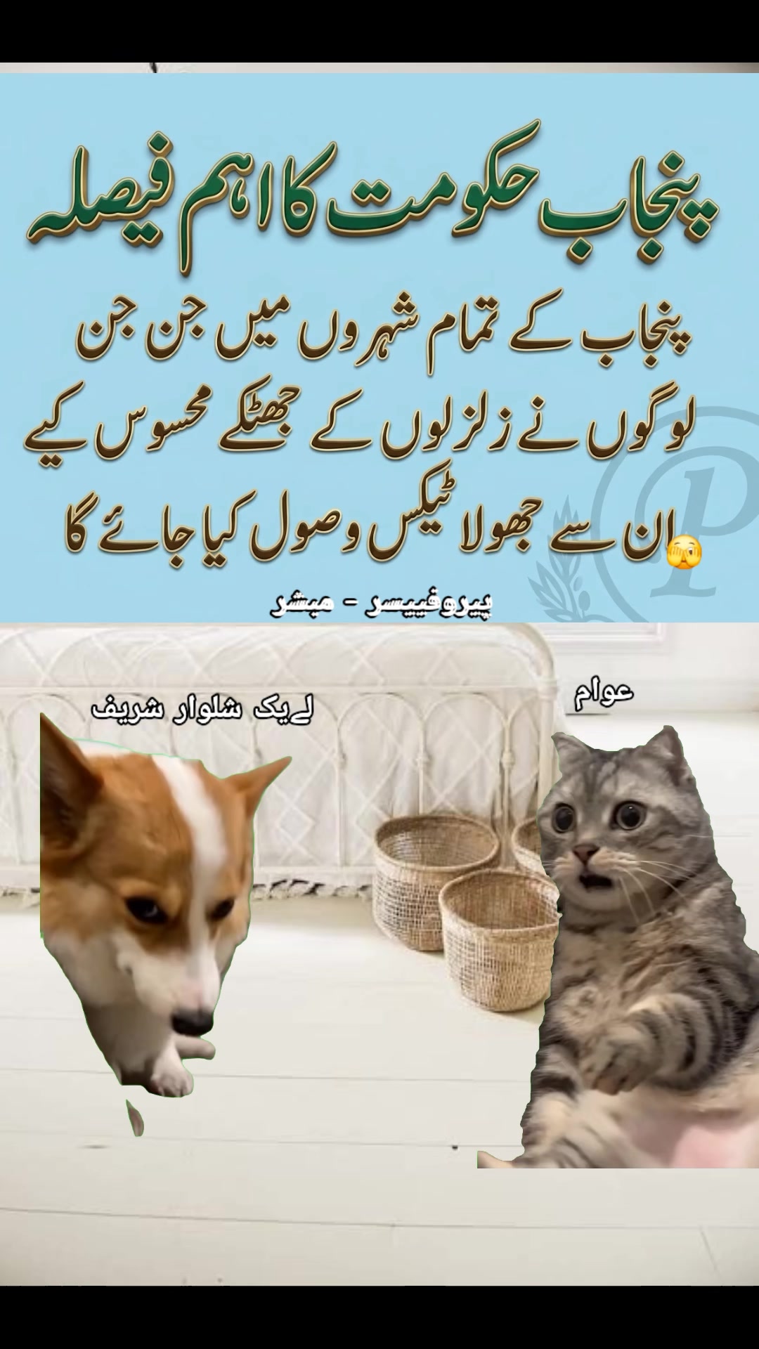 @Its๛Mubashir