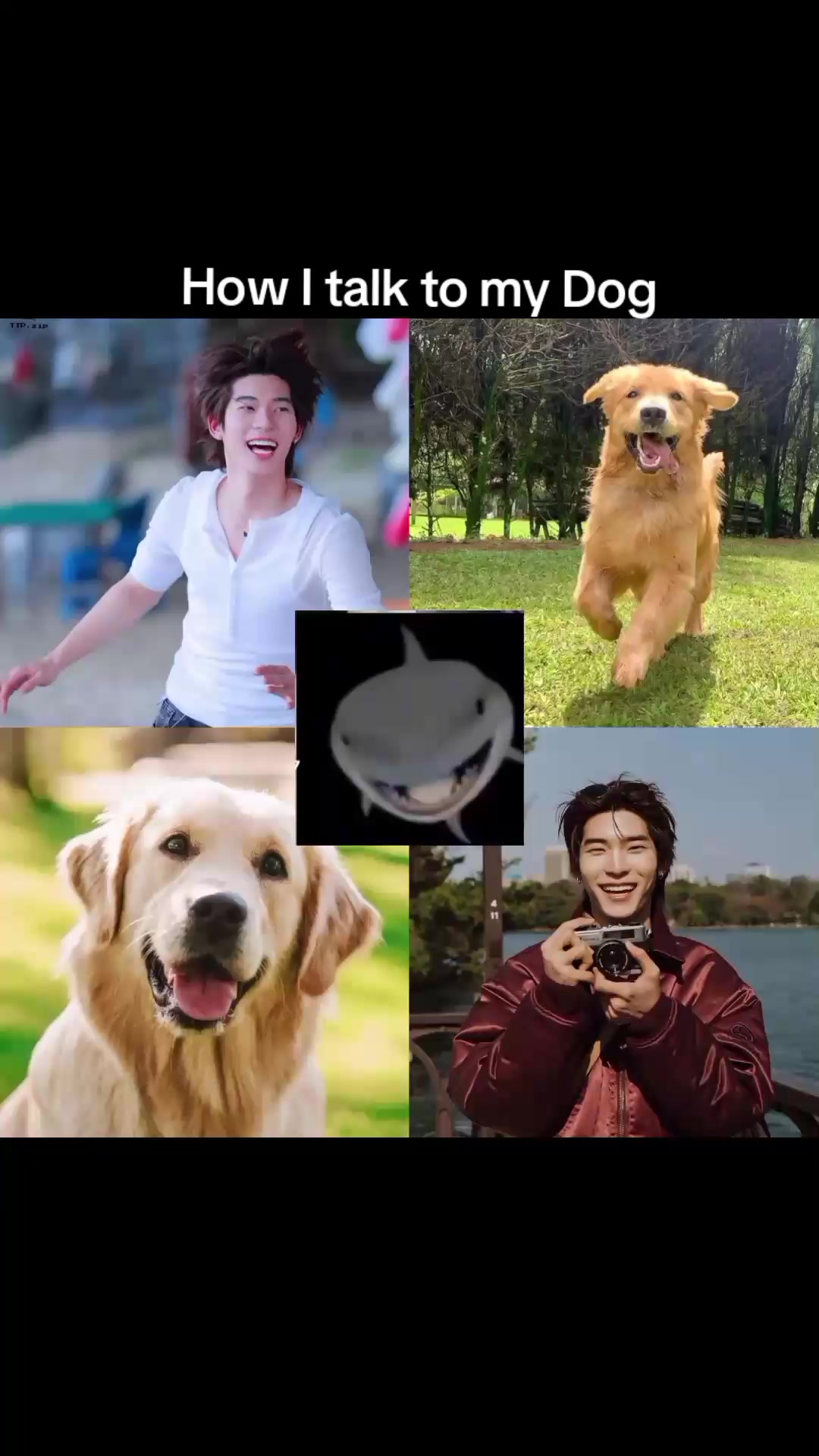 @Shipzy