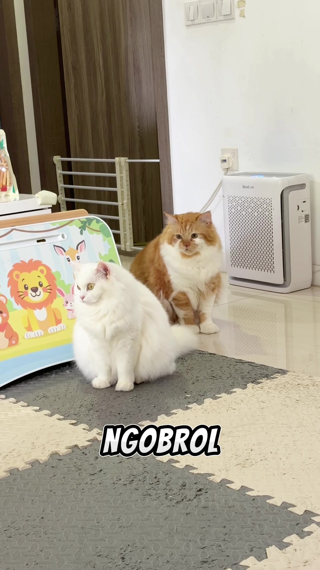 @nekokeikochan