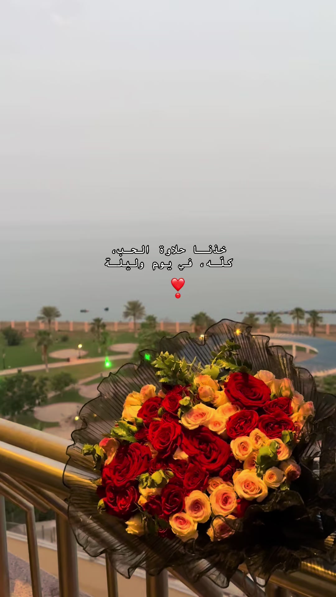 @شينْ🤍"